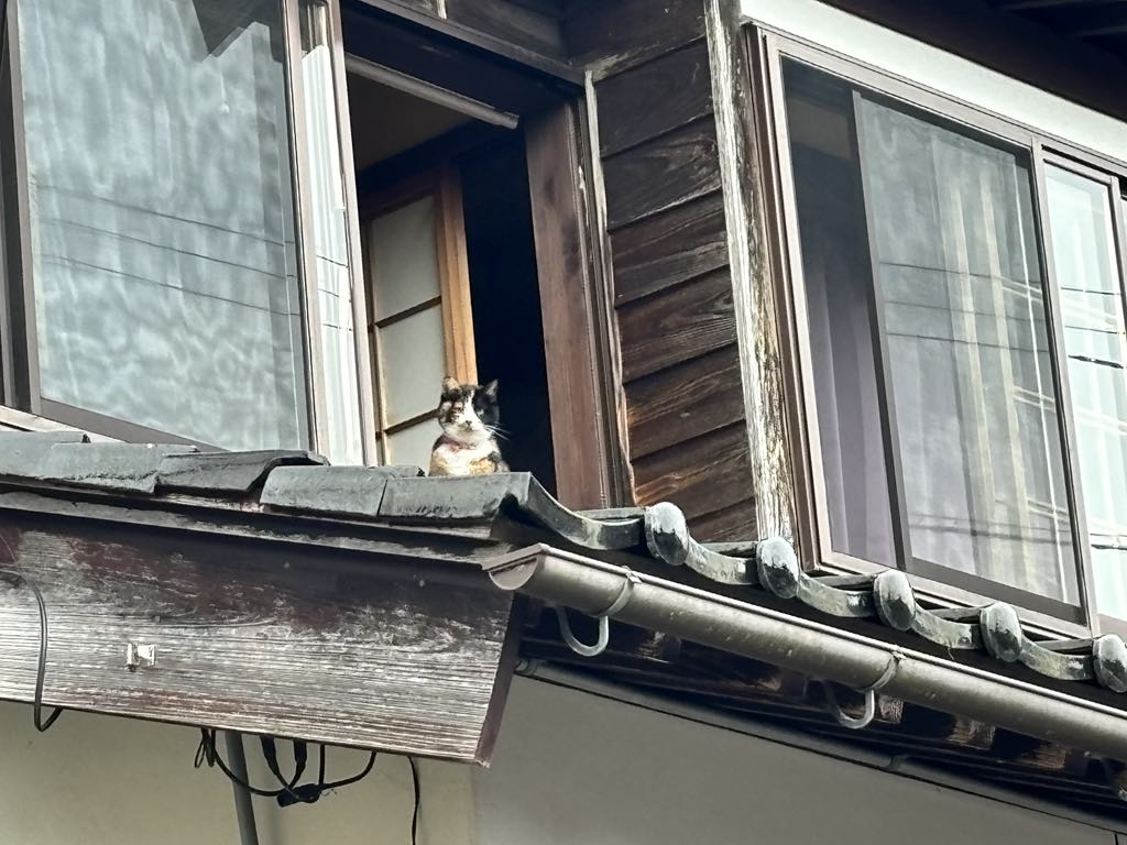 被災された方への聞き取り