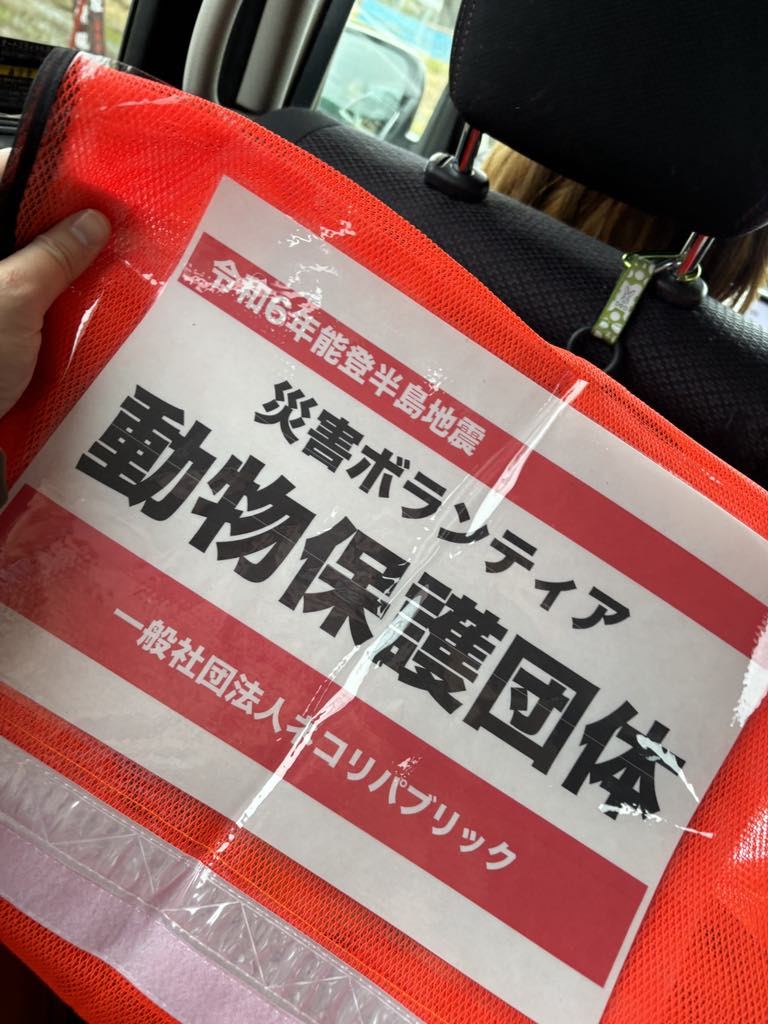 動物保護団体ベスト
