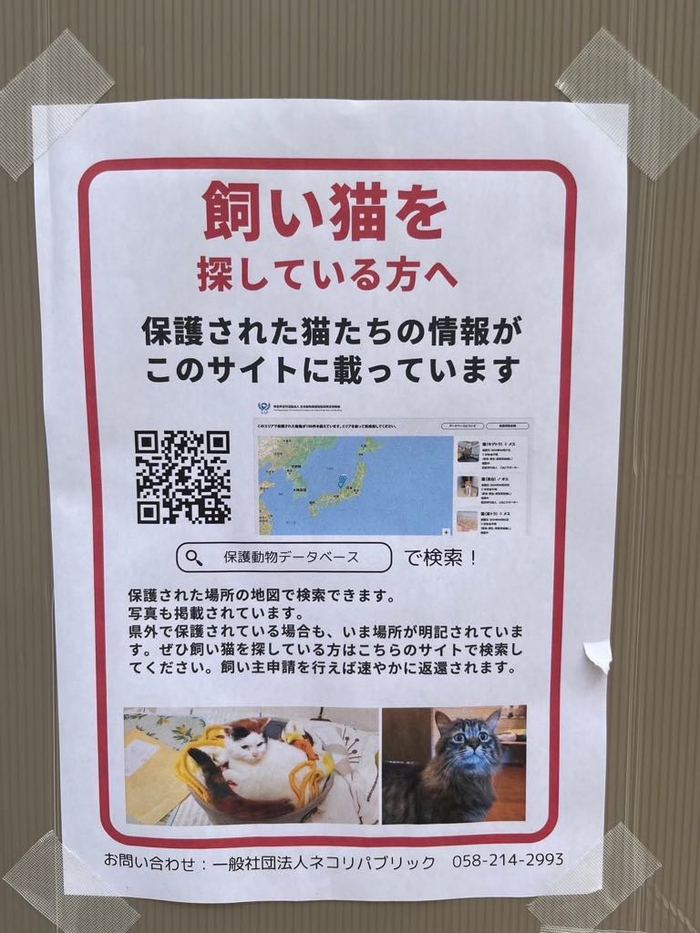 飼い猫を探している方への案内